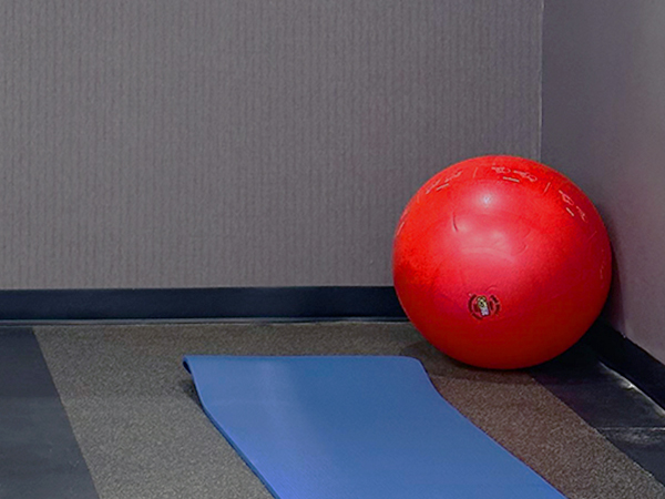 Fitness Balls