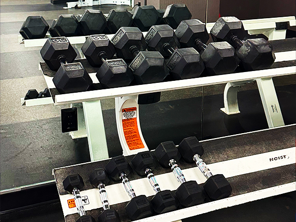 Free Weights